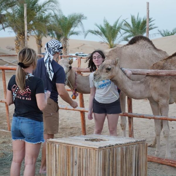 Dubai: Red Dune Desert Safari, Quad Bike, Camels, and BBQ